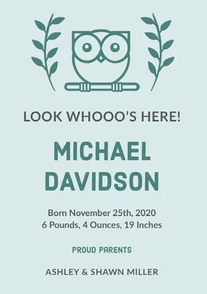 Green Illustrated Birth Announcement Card with Owl Birth Announcement