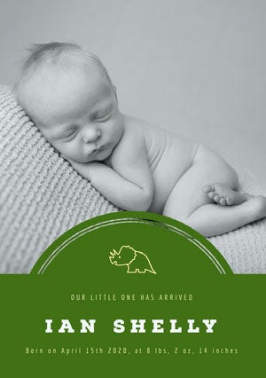 Grey and Green Birth Announcement Birth Announcement