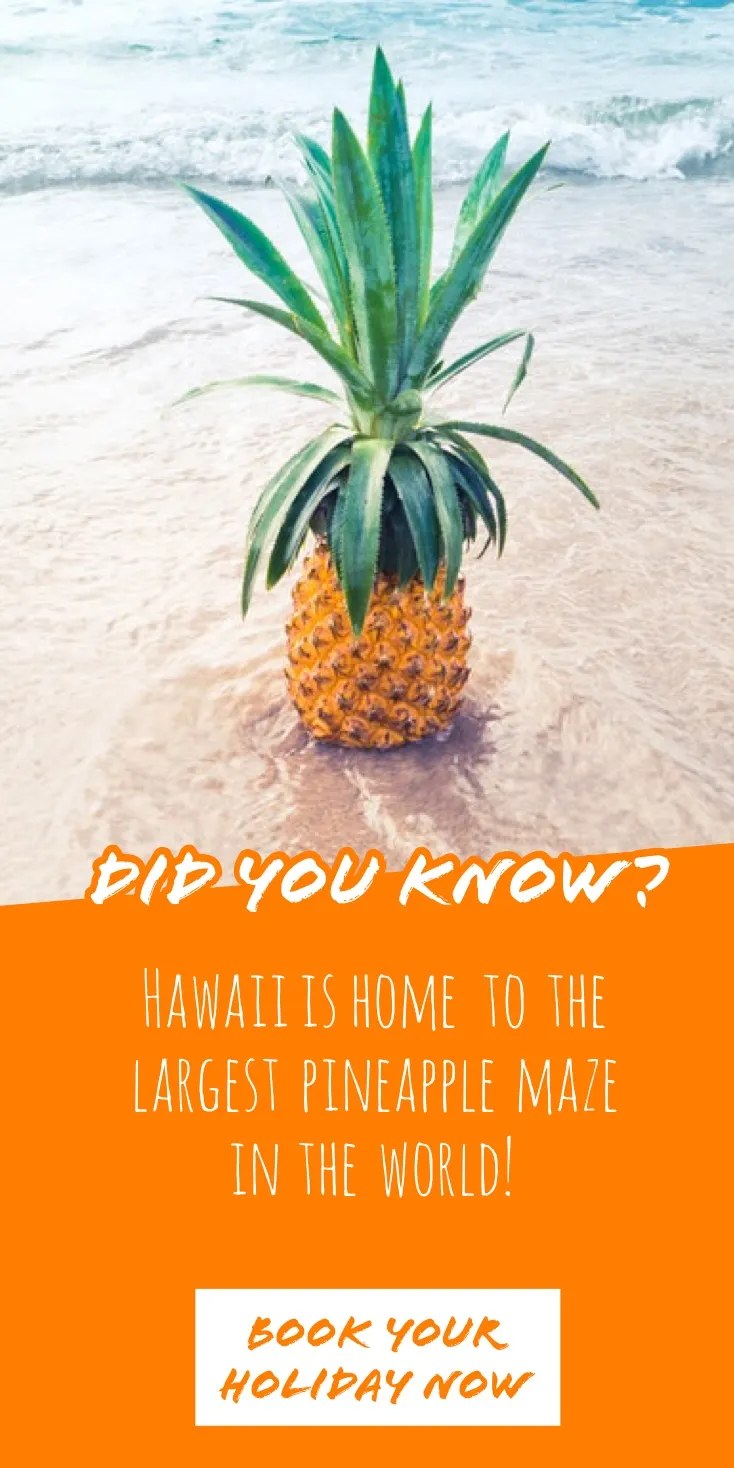 Hawaii Pineapple Travel and Tourism Vertical Ad Banner