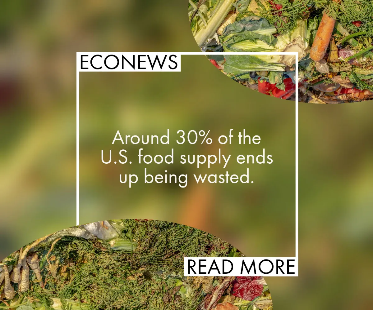 Green Food Waste PSA Web Banner