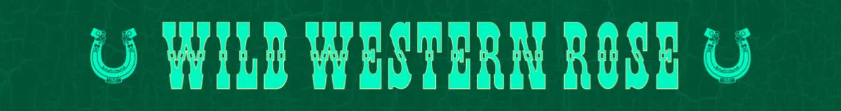 Green and Teal Western Etsy Mini Shop Banner