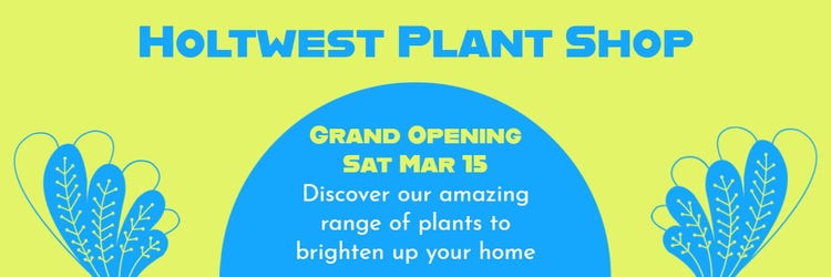 Green and Blue Grand Opening Banner