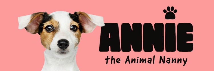 Pink & Black Dog Animal Nanny Email Header