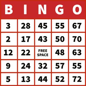 Red Bingo Card with Numbers Bingo Number Generator