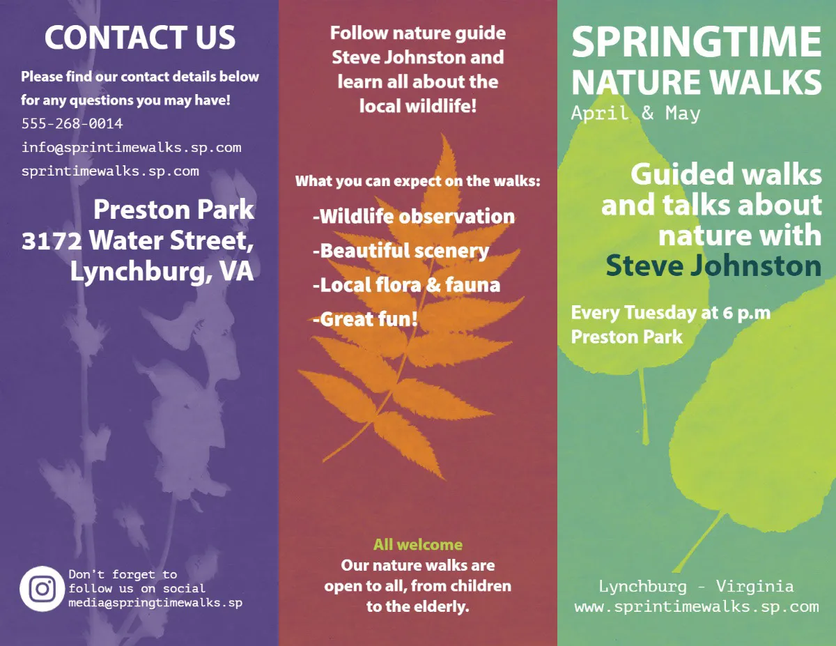 Multicolored Illustrated Nature Walk Event Brochure