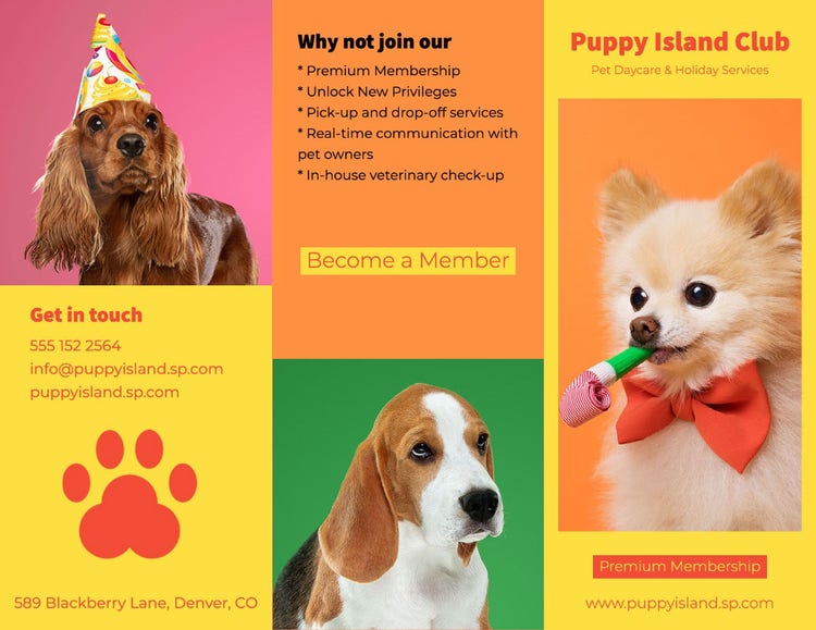 Orange & Yellow Bright Dog Brochure