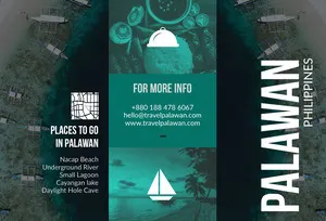 Black White and Green Palawan Brochure Travel Brochure