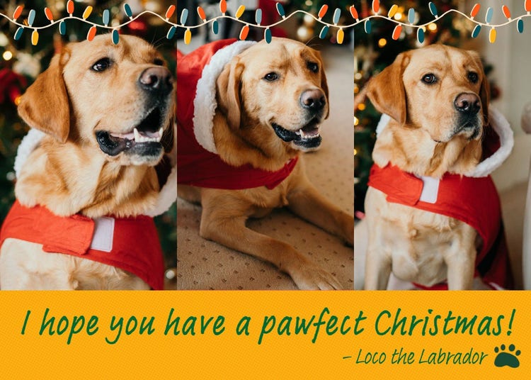 Yellow & Green Fun Dog Illustrative Christmas Photo Card