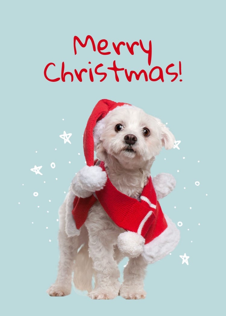 Red & Blue Cute Santa's Helper Christmas Greeting Card