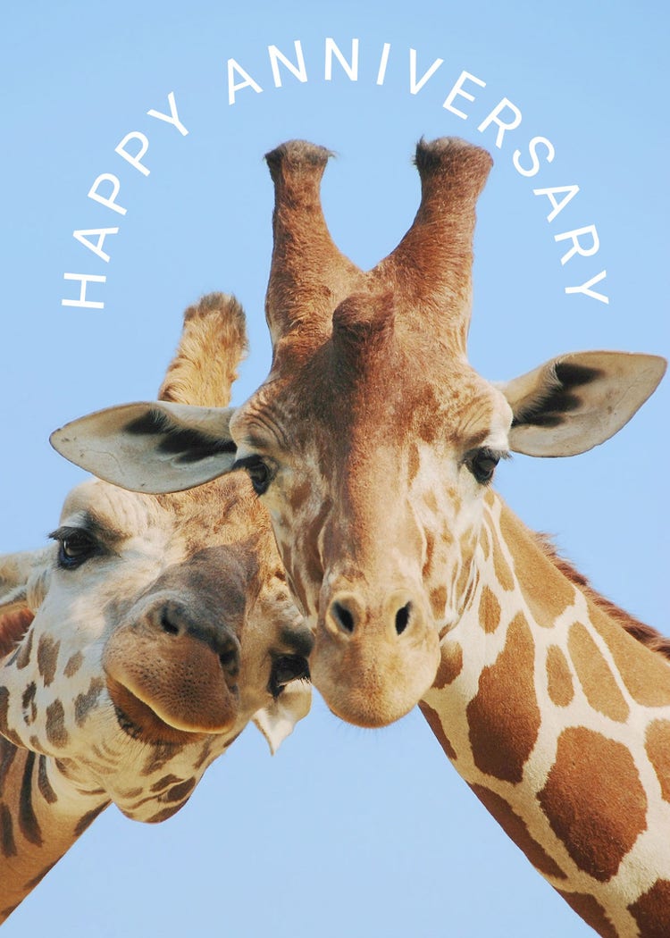 Blue & White Giraffe Image Happy Anniversary Greeting Card