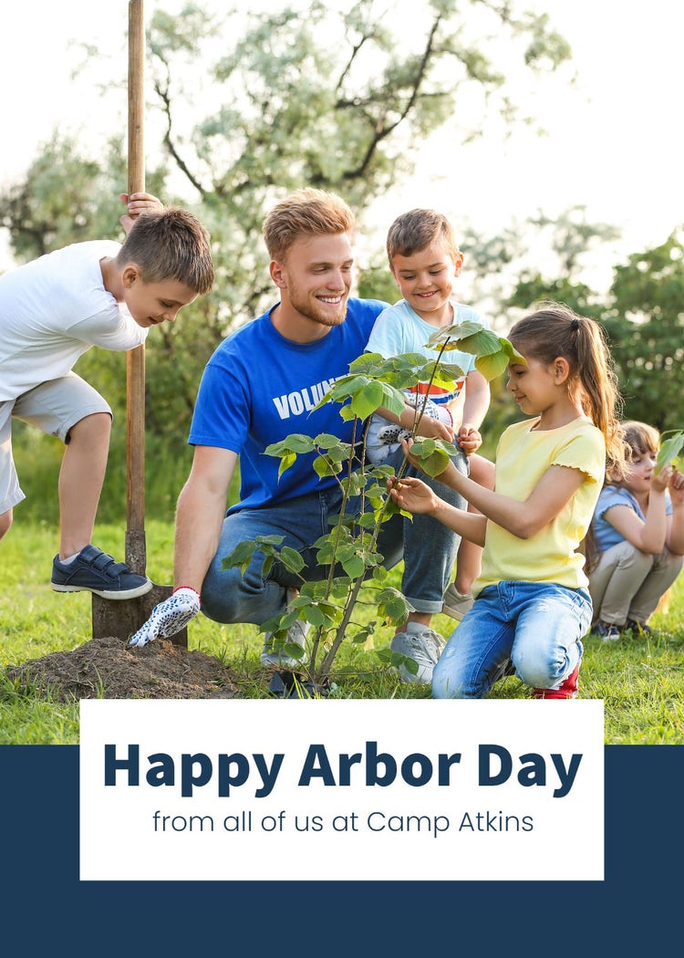 Blue And White Photo Arbor Day Greeting Card