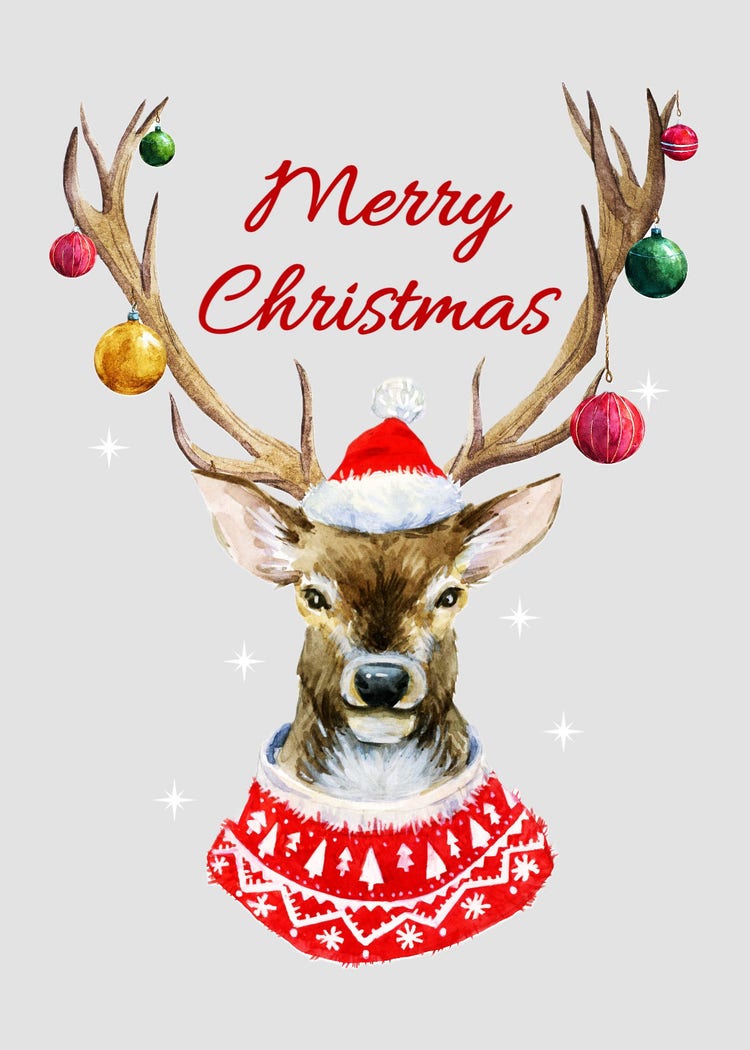 Gray & Red Deer Christmas Illustration Greeting Card