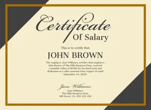 Grey, Beige and Gold, Light Toned, Elegant Salary Certificate Document Salary Certificate 