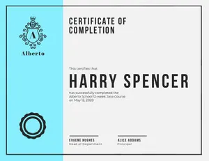 Light Blue Programming Course School Completion Certfiicate Certificate of Completion 
