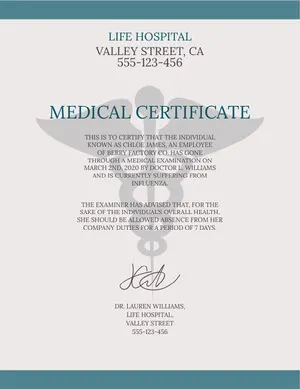 Blue and Gre, Light Toned Medical Document Certificate  Medical Certificate