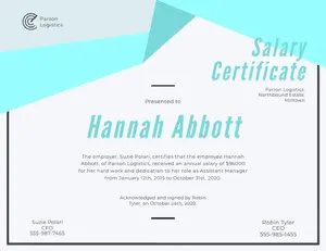Light Blue Geometric Salary Certificate Salary Certificate 