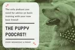 Green Dog Training Podcast Graphic Podcast