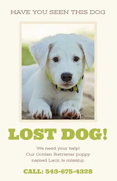 Green and White Lost Dog Flyer Dog Flyer