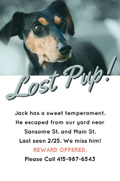 Lost Dog Flyer with Dog Picture and Reward Information Dog Flyer