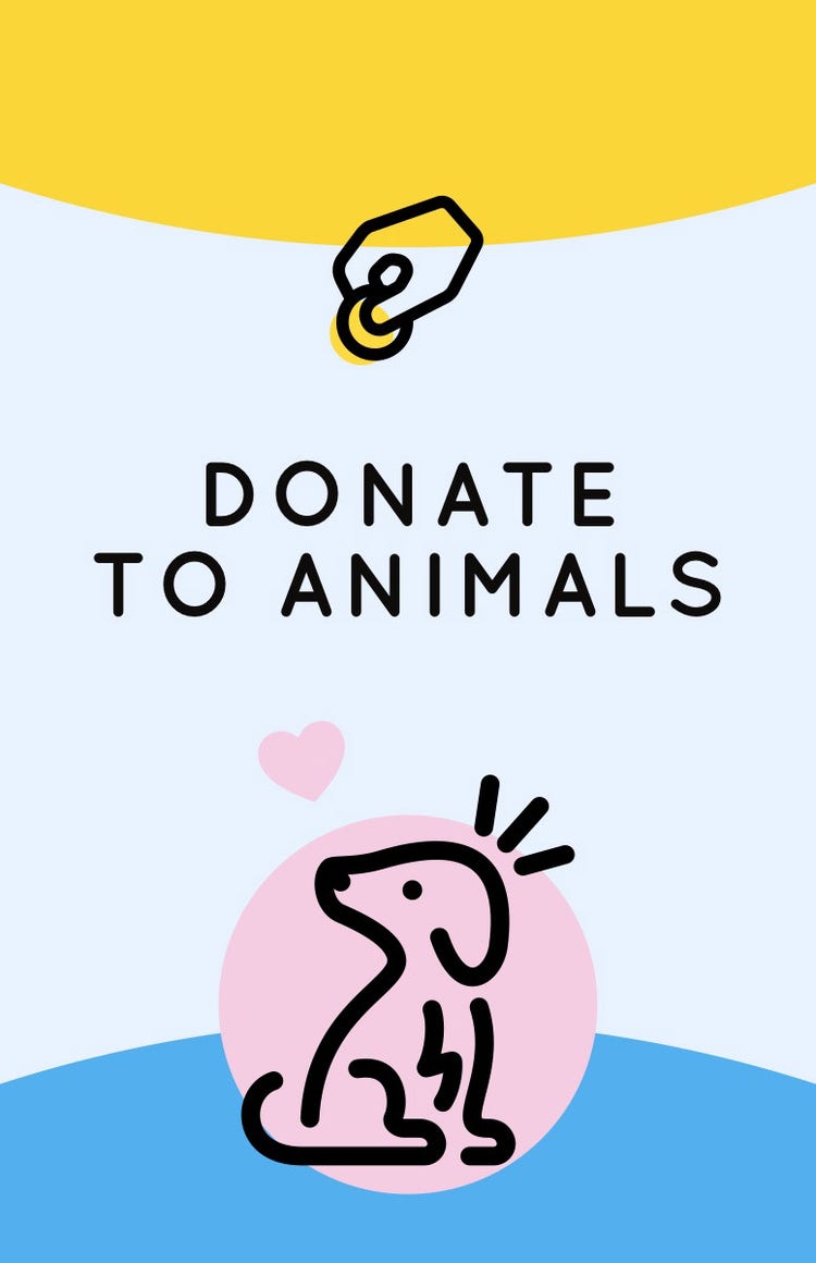 Illustrated Animal Shelter Donation Flyer with Dog