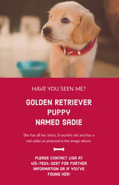Red Lost Missing Puppy Flyer Dog Flyer