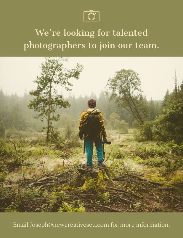 Green Photographers Wanted Job Open Position Flyer