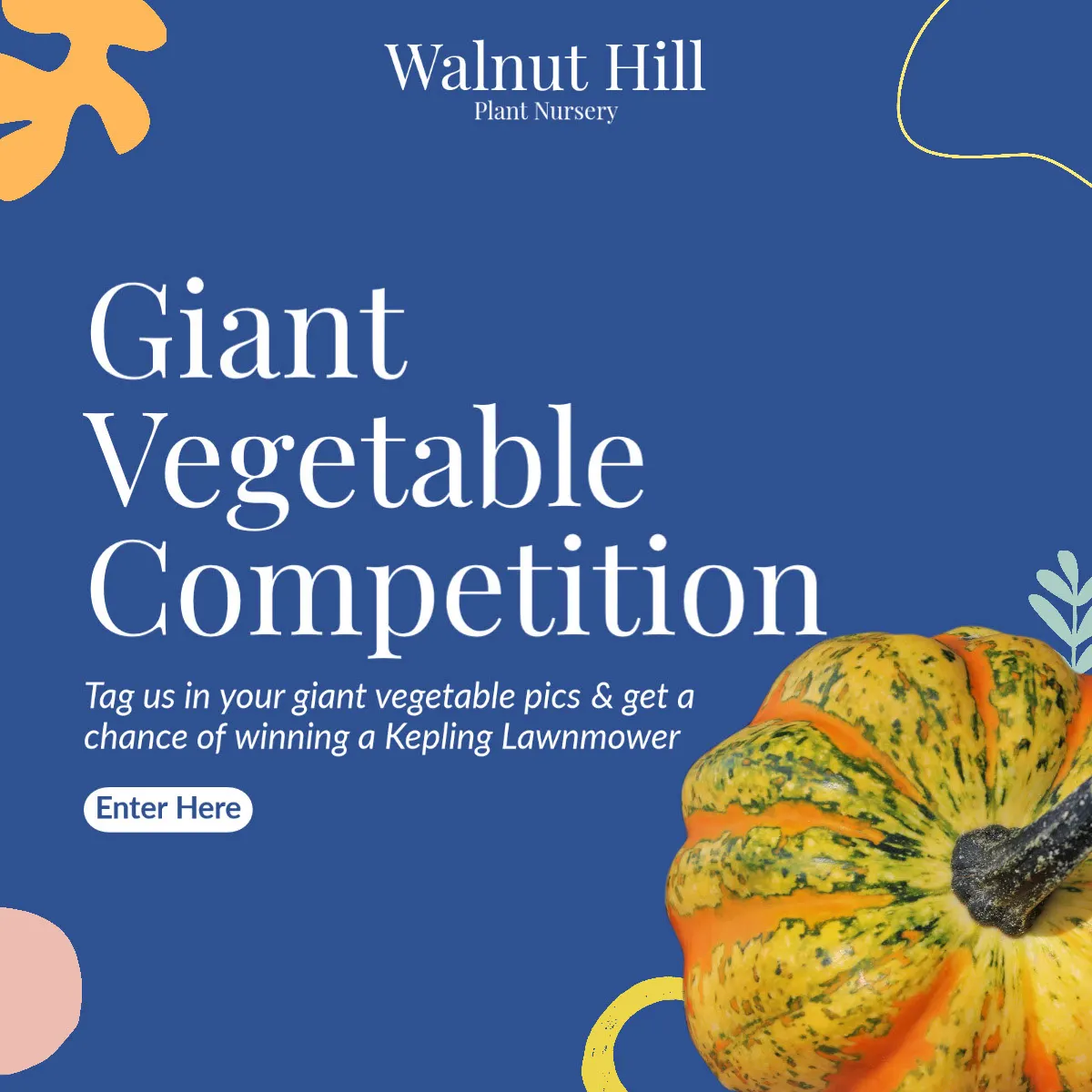 Blue Plant Nursery Online Contest Instagram Square Ad