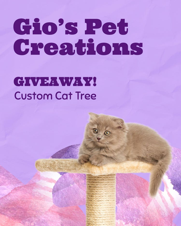 Purple Custom Cat Tree Giveaway Instagram Portrait Post