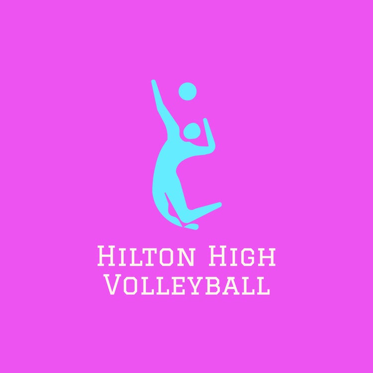 Bright Cyan And Pink Player Illustration Volleyball Team Logo