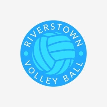 Blue and White Minimal Volleyball Logo