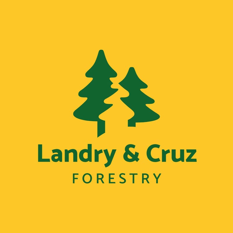 Green & Yellow Minimal Pine Tree Logo
