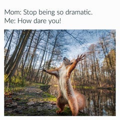 Dramatic Squirrel Funny Meme