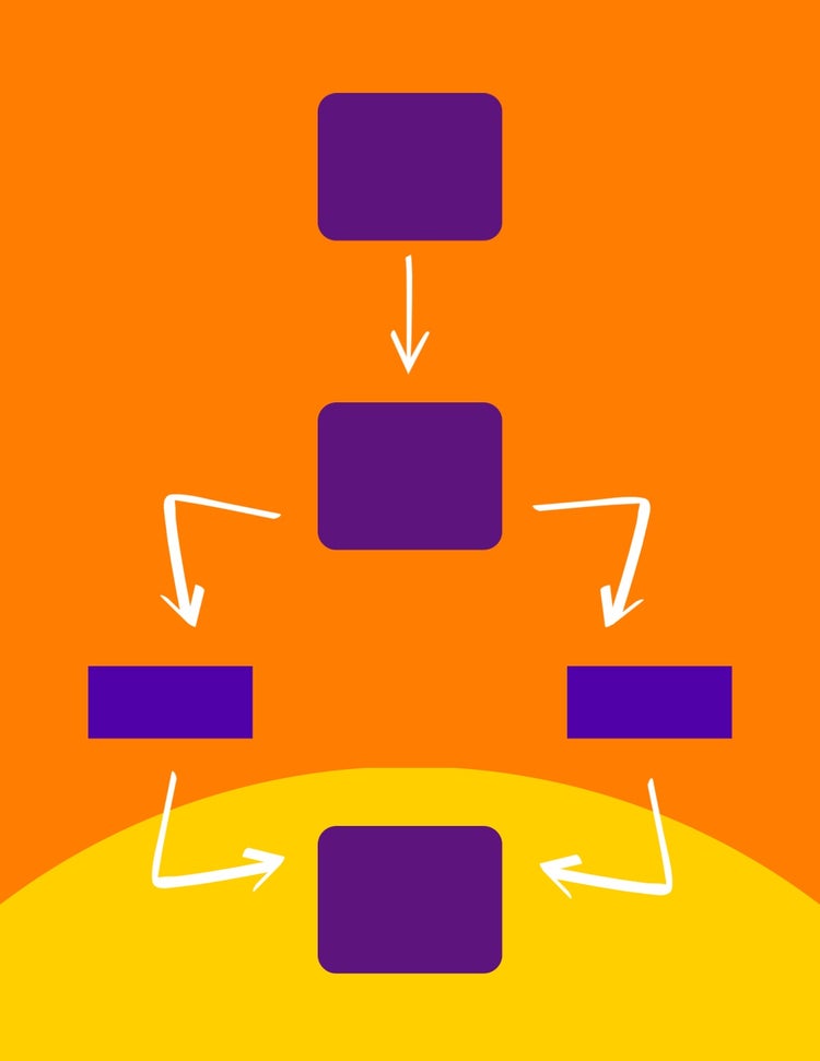 Orange Dichotomous Key Worksheet