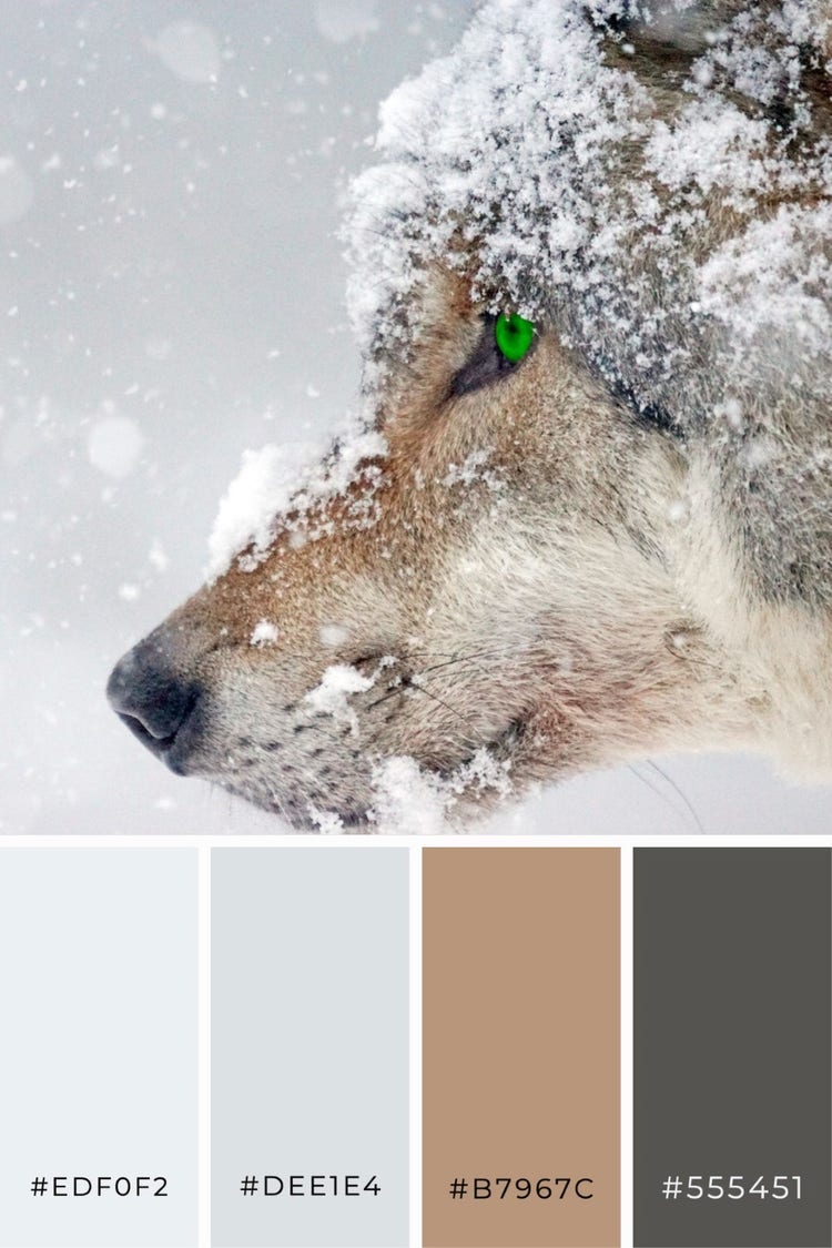 Iteration Grey & Brown Winter Color Palette Pinterest Post