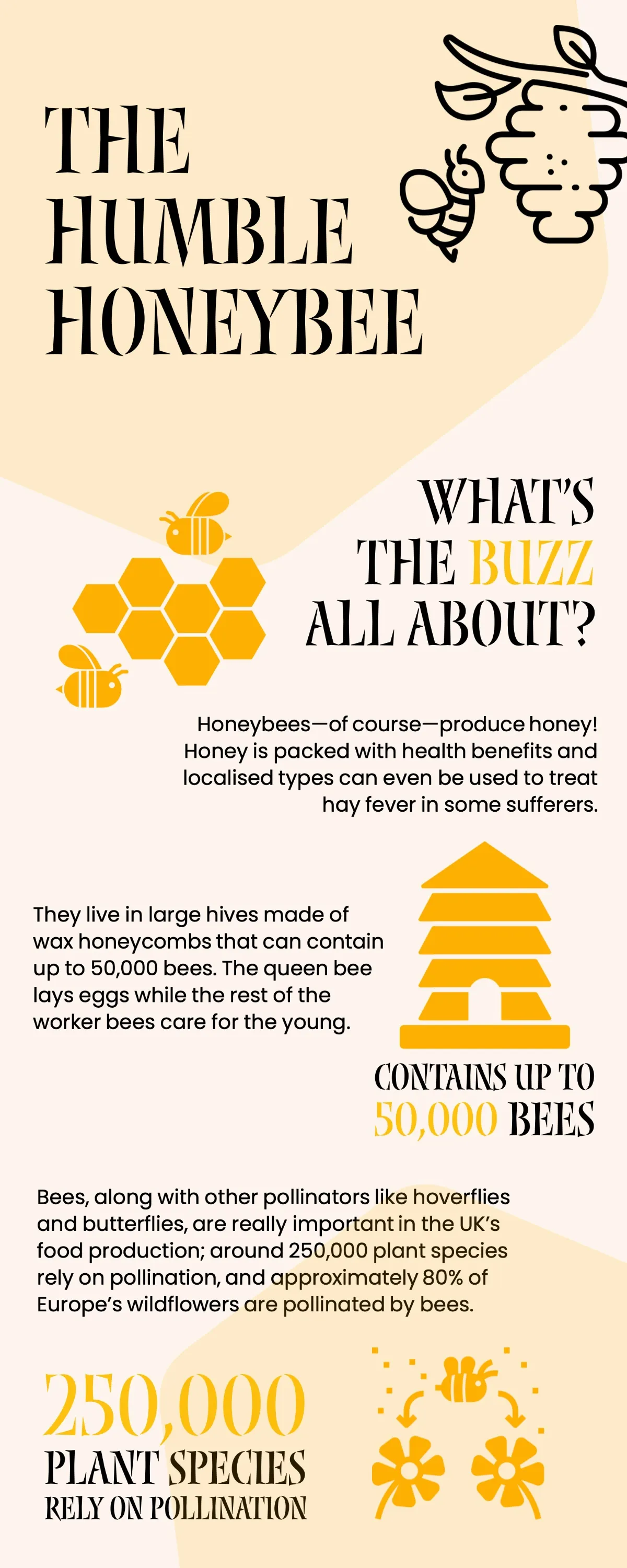 Yellow Cream Pink & Black Honey Bee Eco Infographic