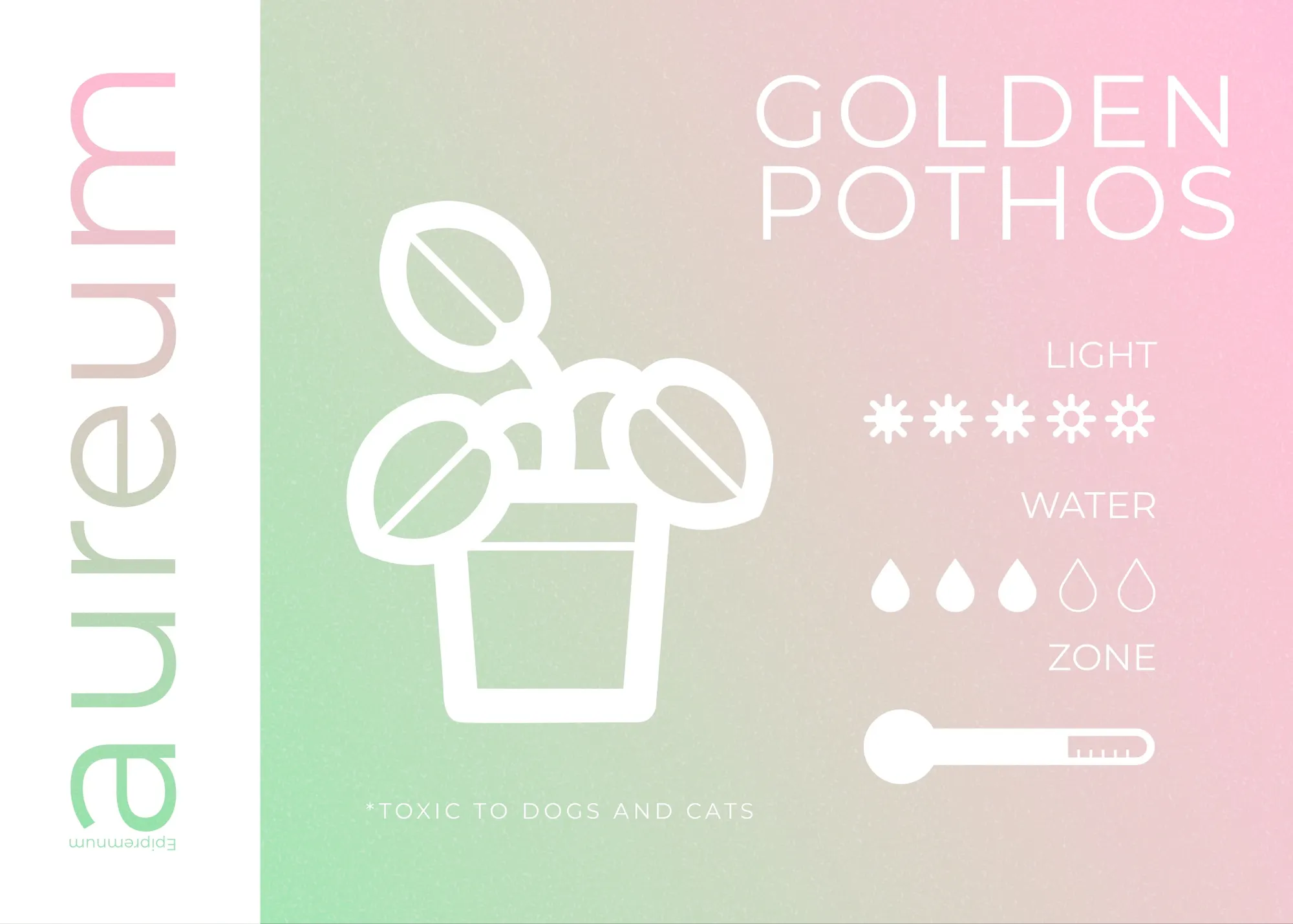 Modern Green Gradient Plant Care Card