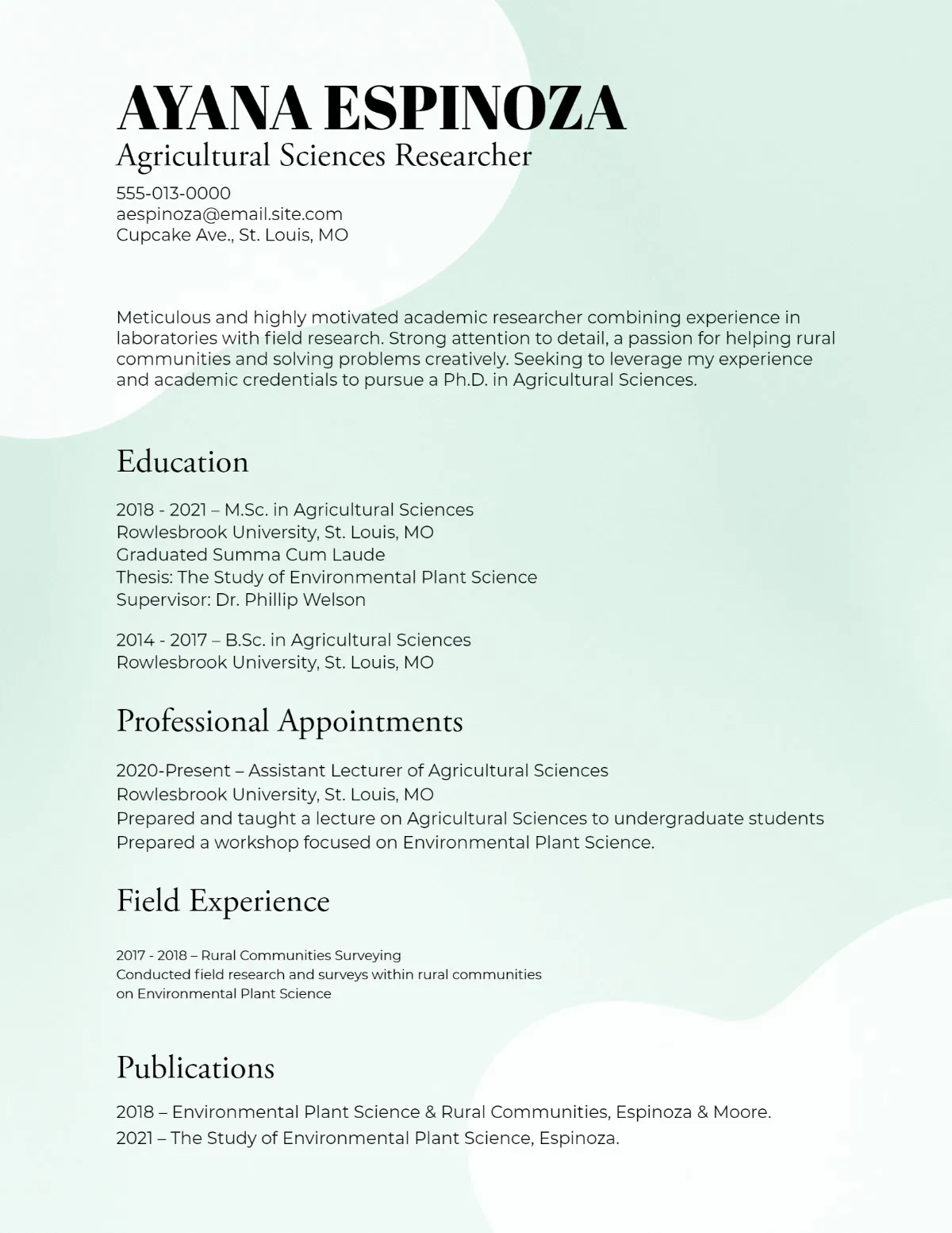 Light Green And White Shapes Curriculum Vitae