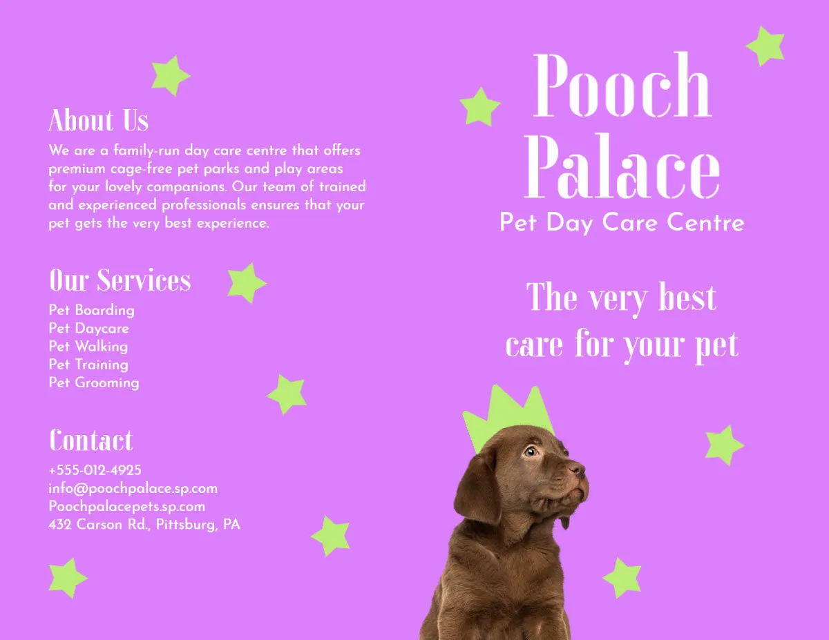 Purple & Green Pet Day Care Pamphlet