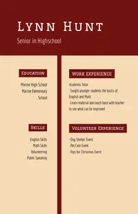 Claret and Pink Professional Resume CV