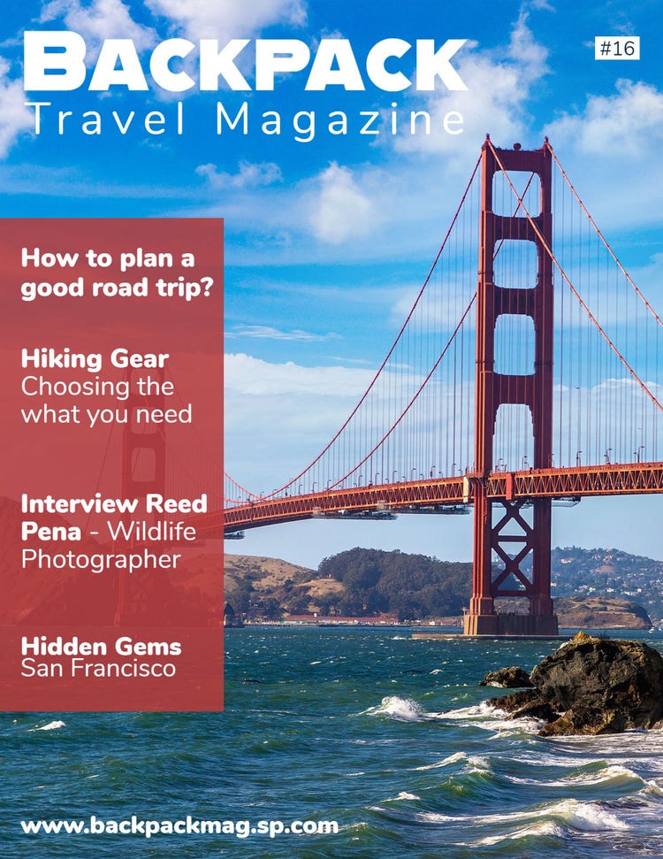Brick Red, White and Blue Travel Magazine Cover