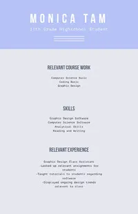 Grey and Blue Professional Resume CV