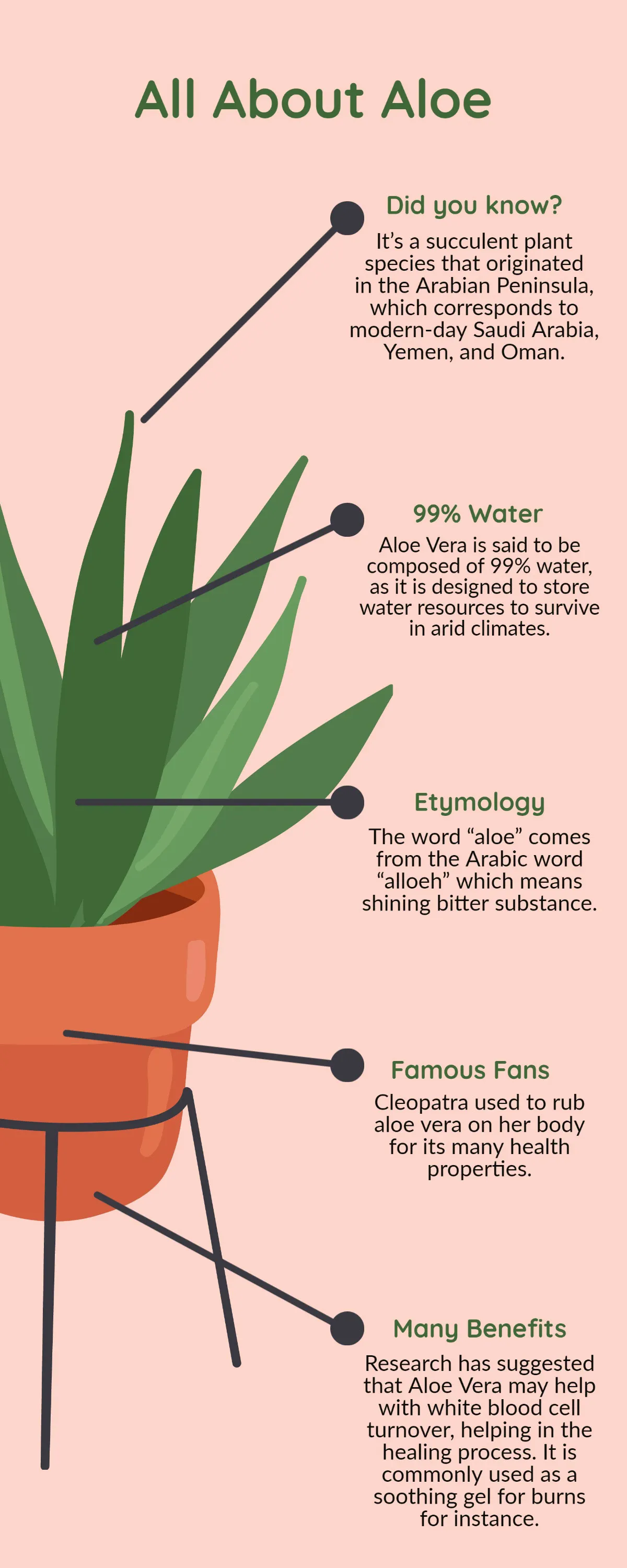 Pink & Green Aloe Vera Plant Infographic