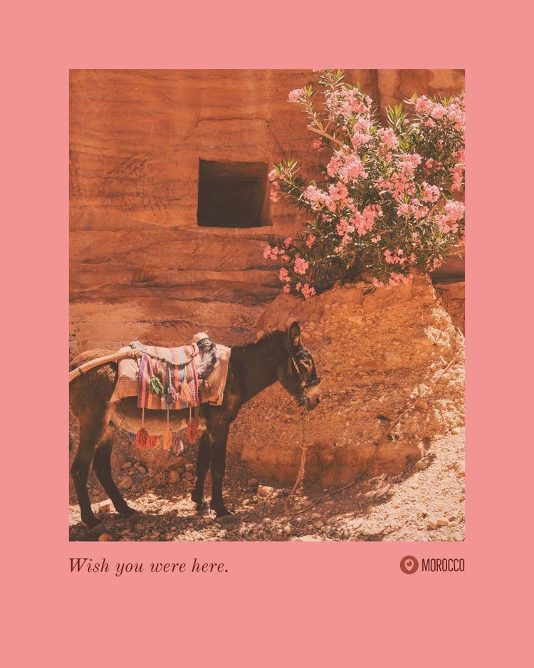 Pink Morocco Travel and Tourism Postcard with Donkey in Desert and Cliff