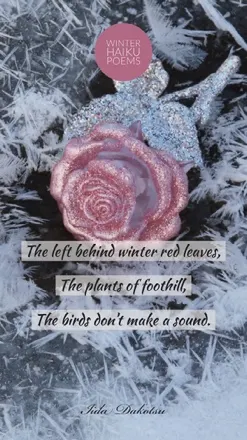 Winter Haiku Poem Instagram Story with Rose and Frost Poem/Poetry