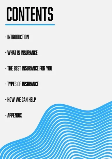 Blue & White Insurance Industry White Paper A4