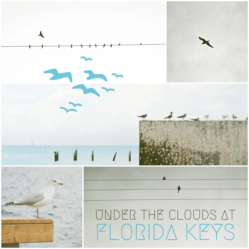 Blue and White Florida Keys Travel and Tourism Instagram Square with Collage