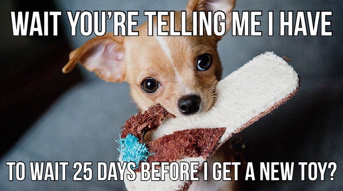 9 Funny Dog Memes and Templates | Adobe Express