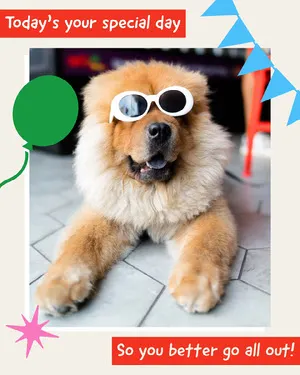 Colorful Funny Illustrated Dog Photo Birthday Card Funny Birthday Meme
