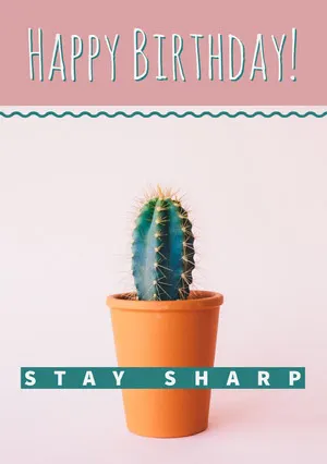 Pink and Green Happy Birthday Card with Cactus Funny Birthday Meme