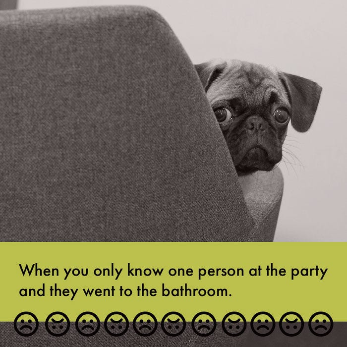 9 Funny Dog Memes and Templates | Adobe Express